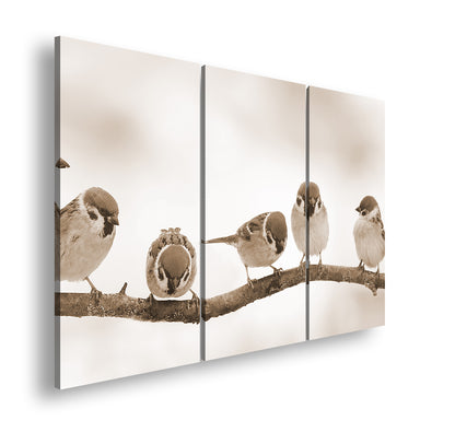 Hauptbild Sepia 3 Teilig