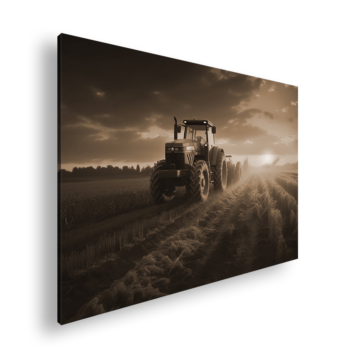 Hauptbild Sepia Standart