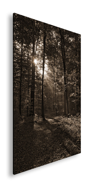 Hauptbild Sepia Standart