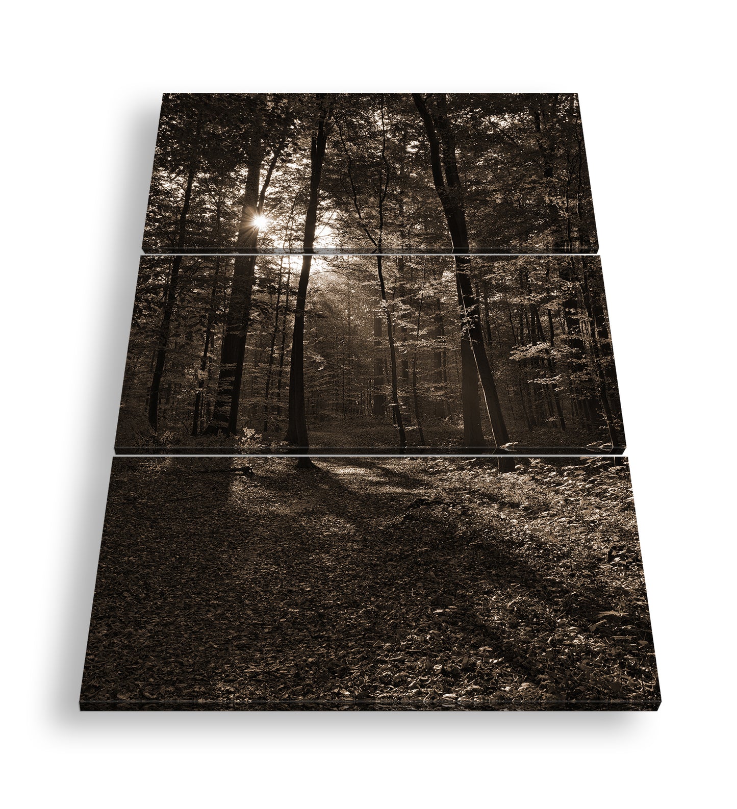 Hauptbild Sepia 3 Teilig