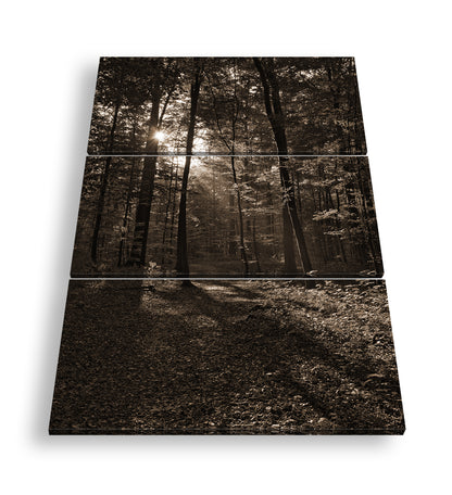 Hauptbild Sepia 3 Teilig