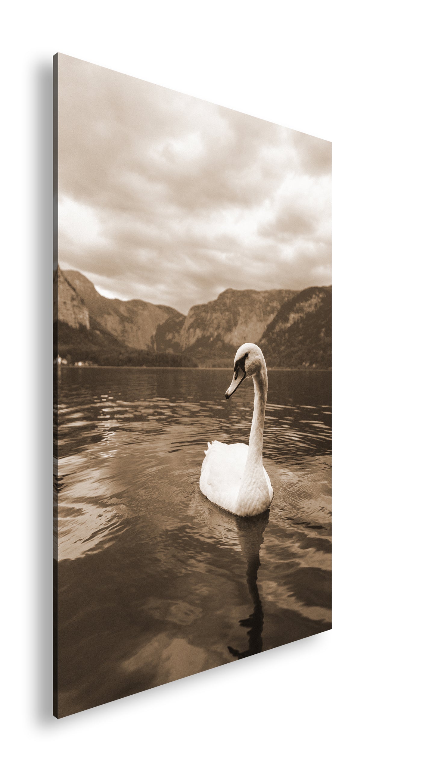 Hauptbild Sepia Standart