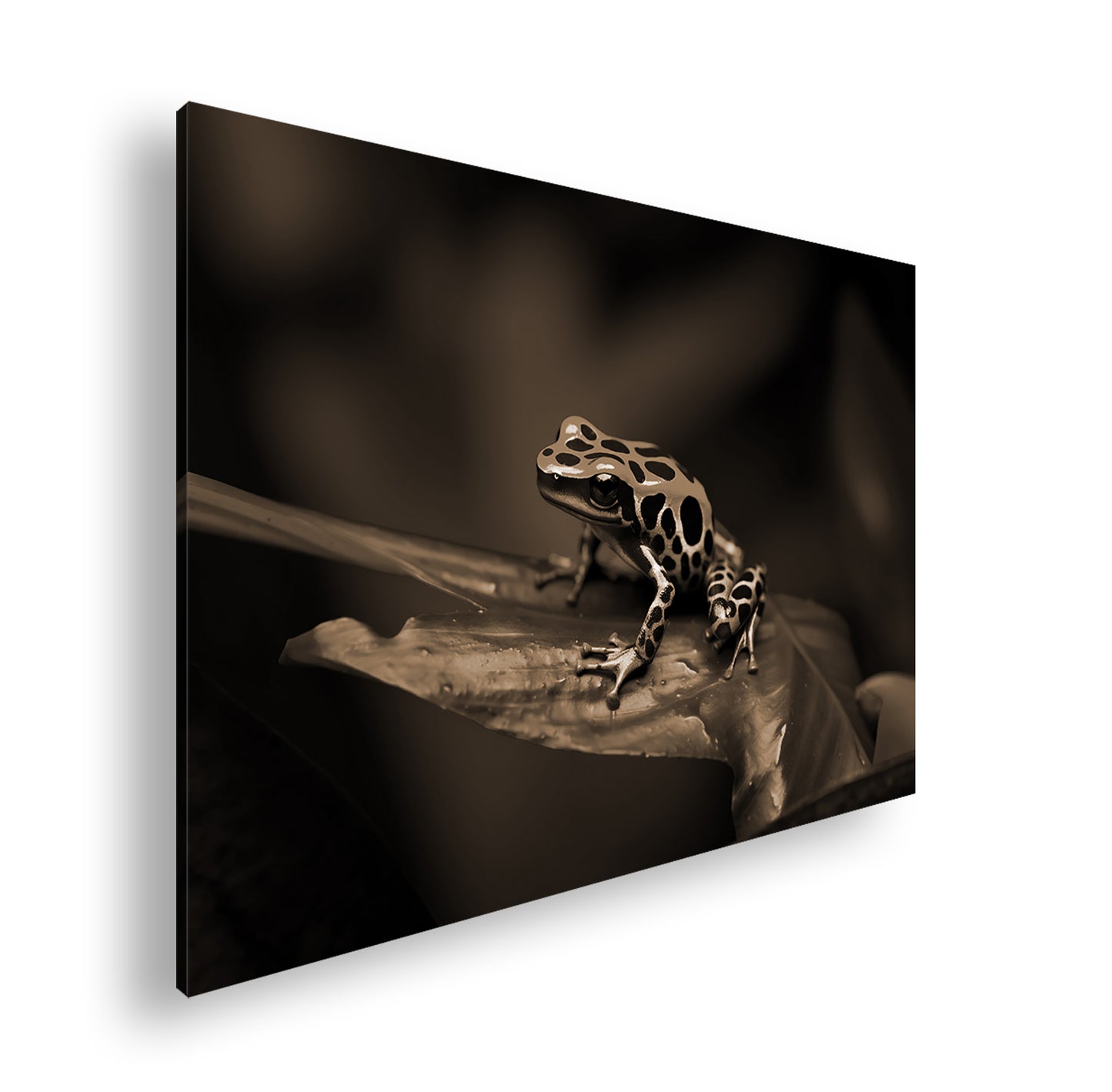 Hauptbild Sepia Standart