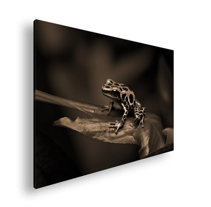 Hauptbild Sepia Standart