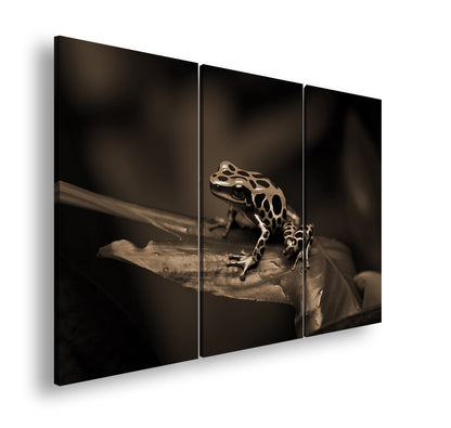 Hauptbild Sepia 3 Teilig