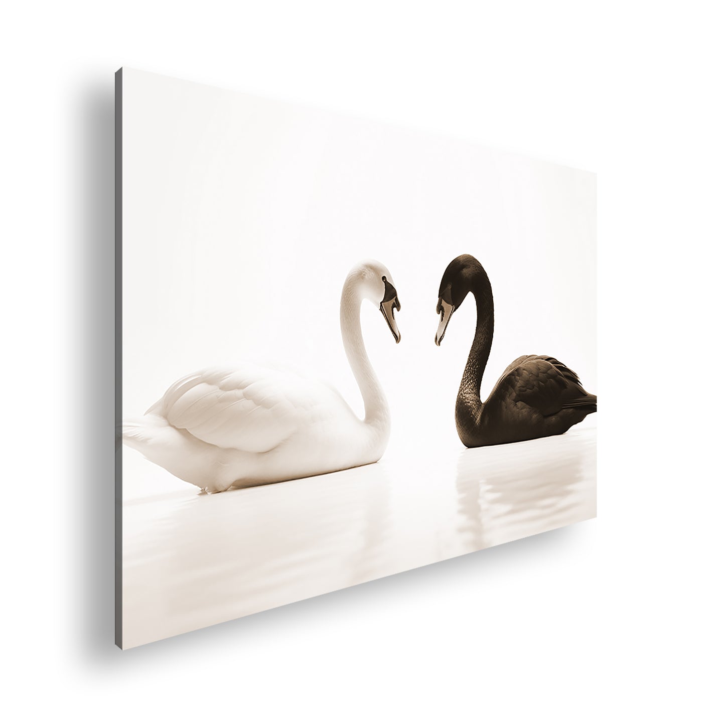 Hauptbild Sepia Standart