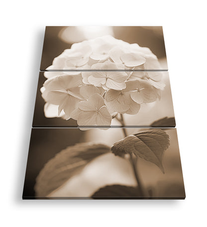 Hauptbild Sepia 3 Teilig