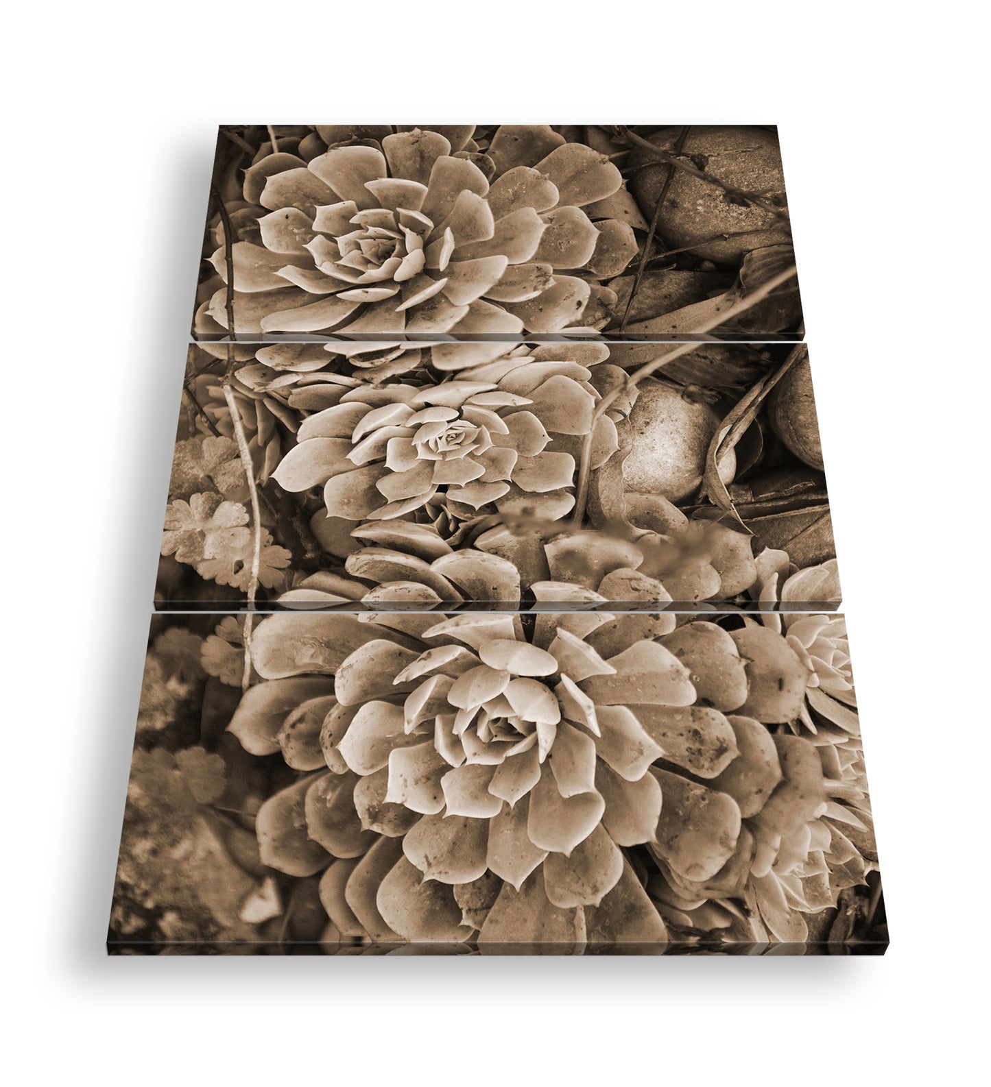 Hauptbild Sepia 3 Teilig