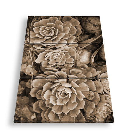 Hauptbild Sepia 3 Teilig