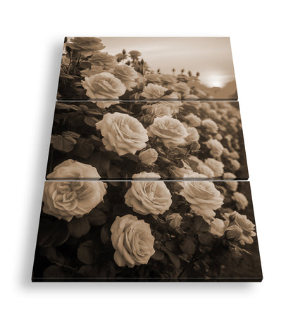 Hauptbild Sepia 3 Teilig