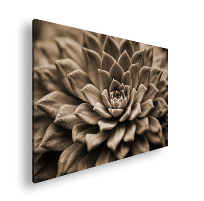 Hauptbild Sepia Standart