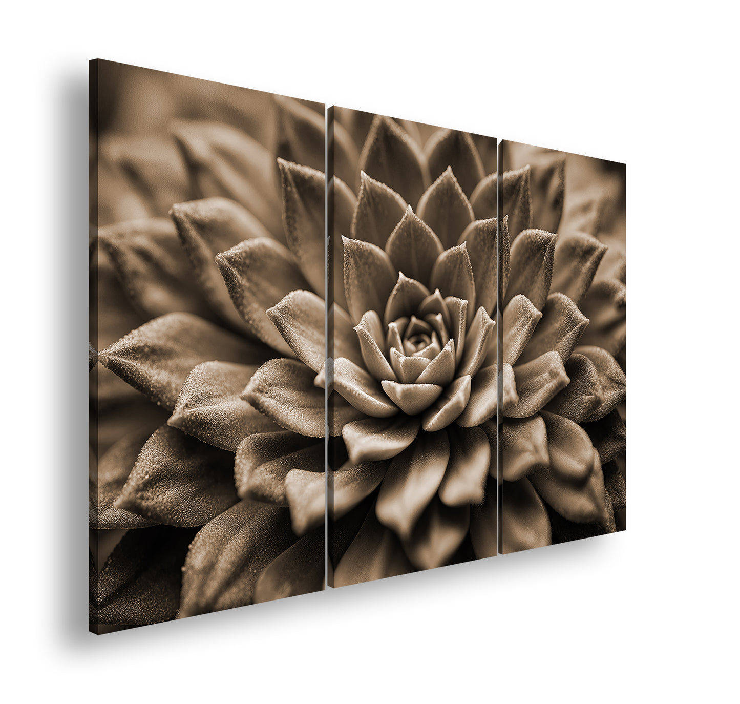 Hauptbild Sepia 3 Teilig