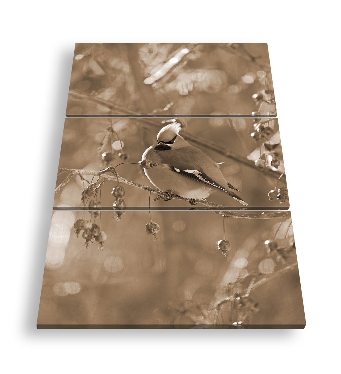 Hauptbild Sepia 3 Teilig