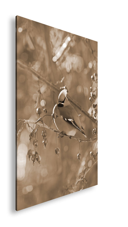 Hauptbild Sepia Standart