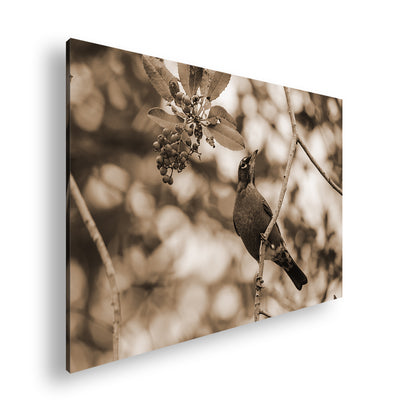 Hauptbild Sepia Standart