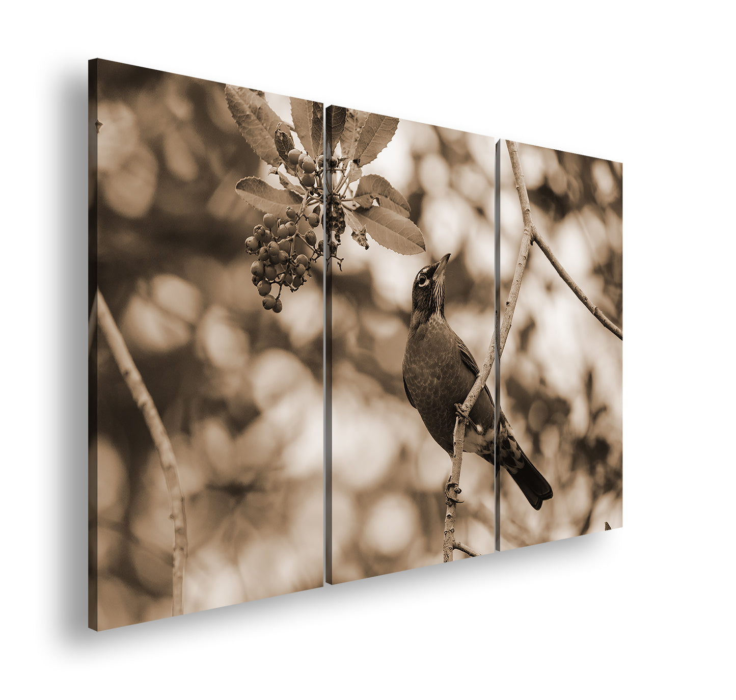 Hauptbild Sepia 3 Teilig