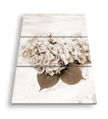 Hauptbild Sepia 3 Teilig