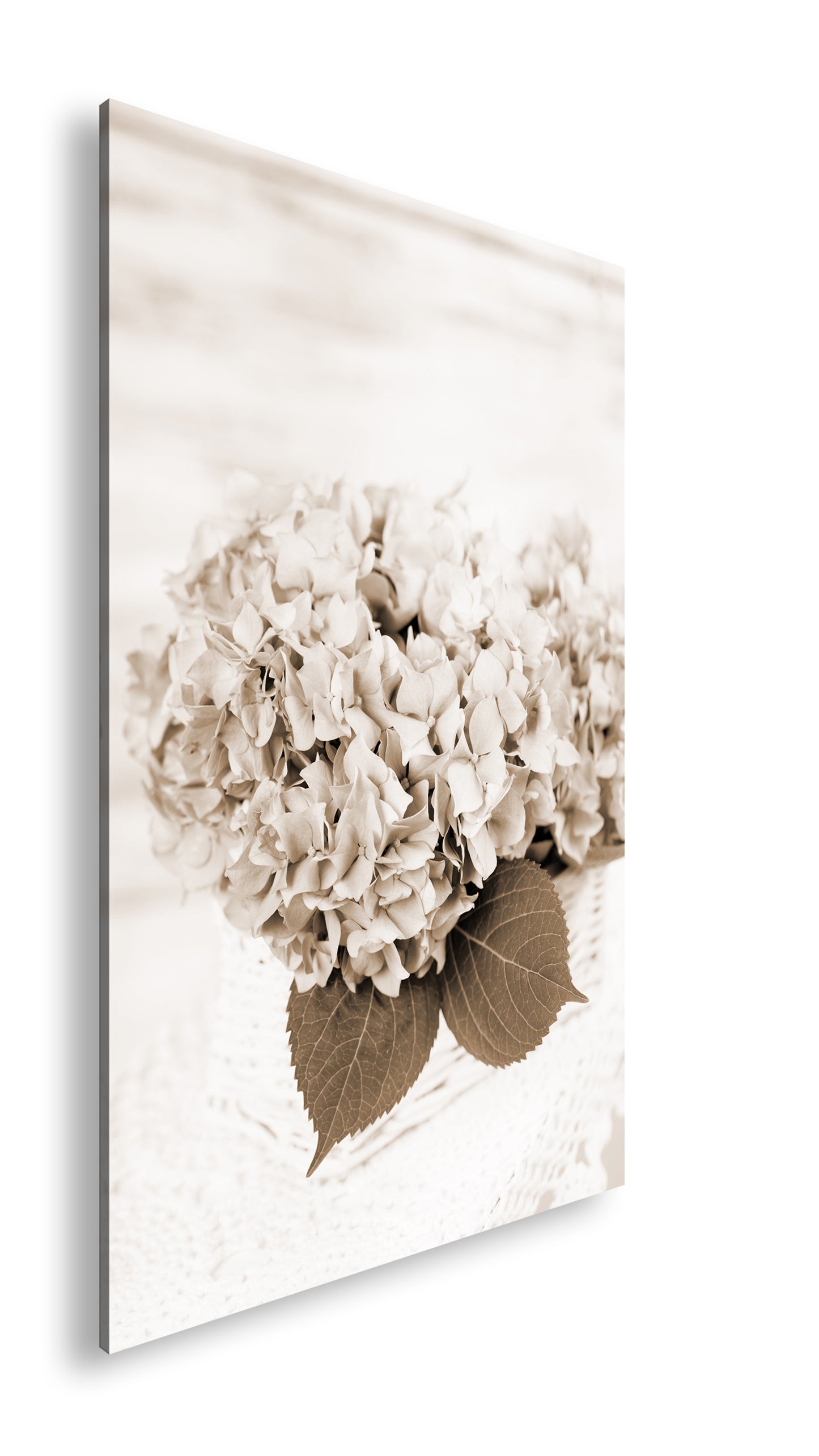 Hauptbild Sepia Standart