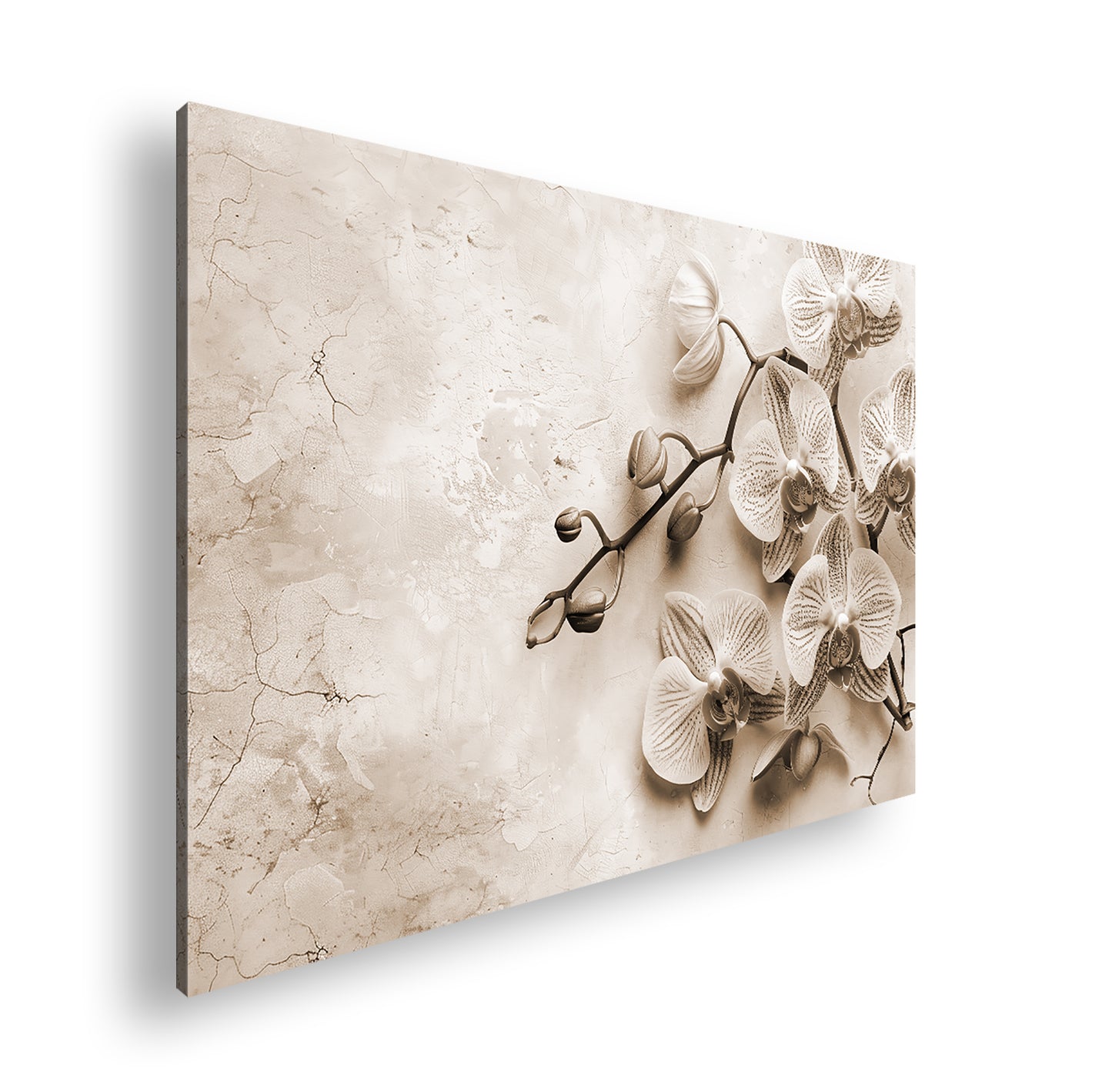 Hauptbild Sepia Standart