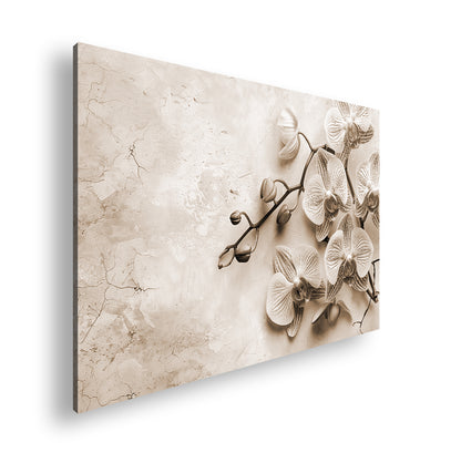 Hauptbild Sepia Standart