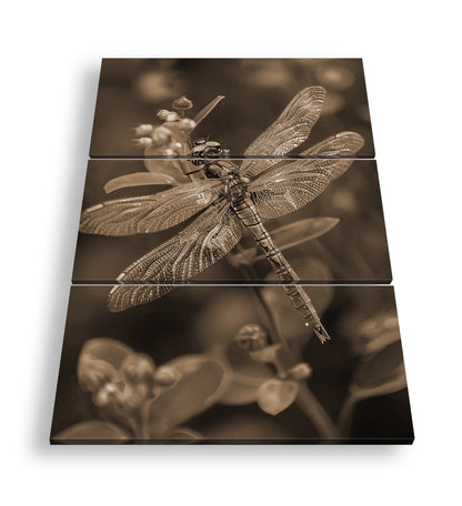 Hauptbild Sepia 3 Teilig