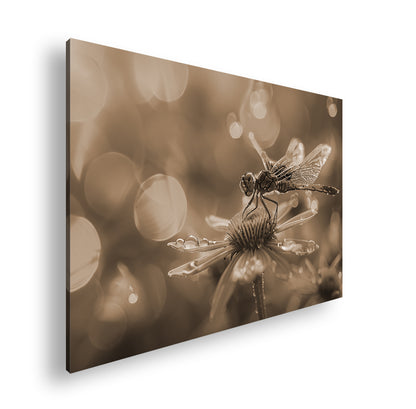 Hauptbild Sepia Standart