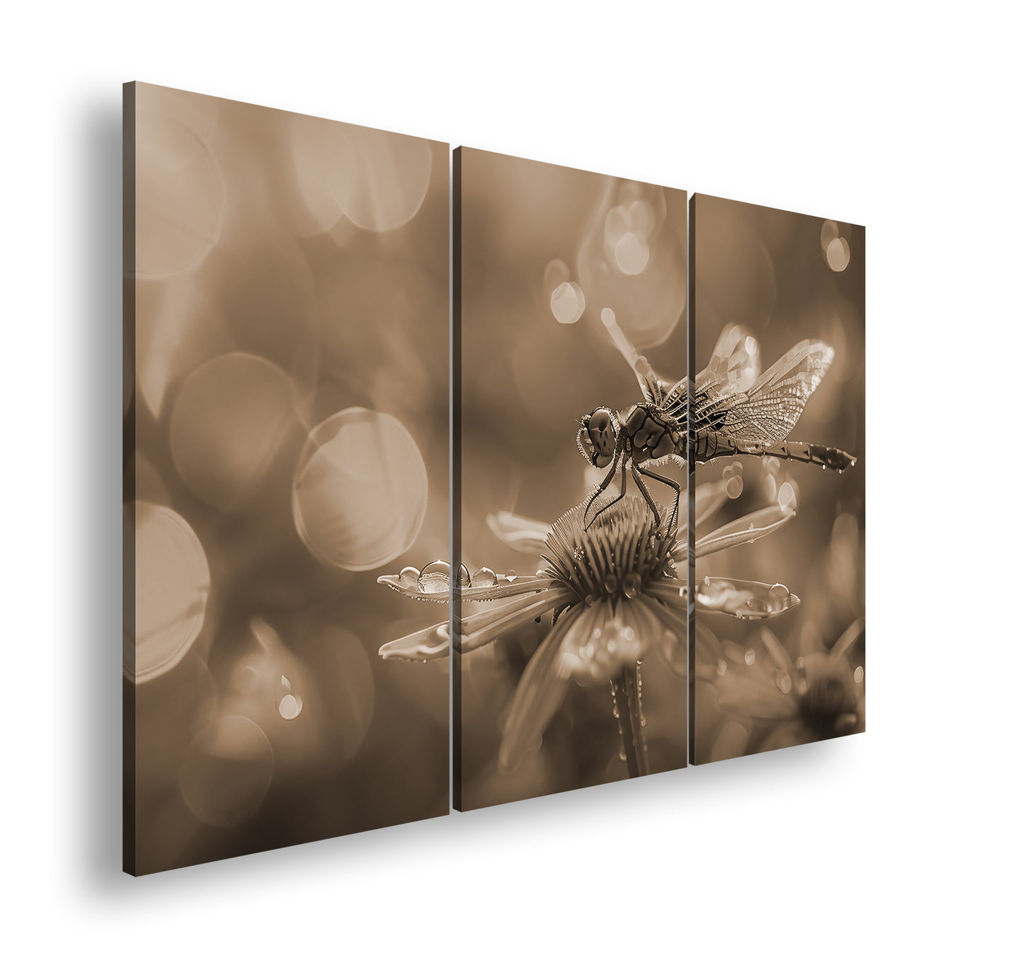 Hauptbild Sepia 3 Teilig