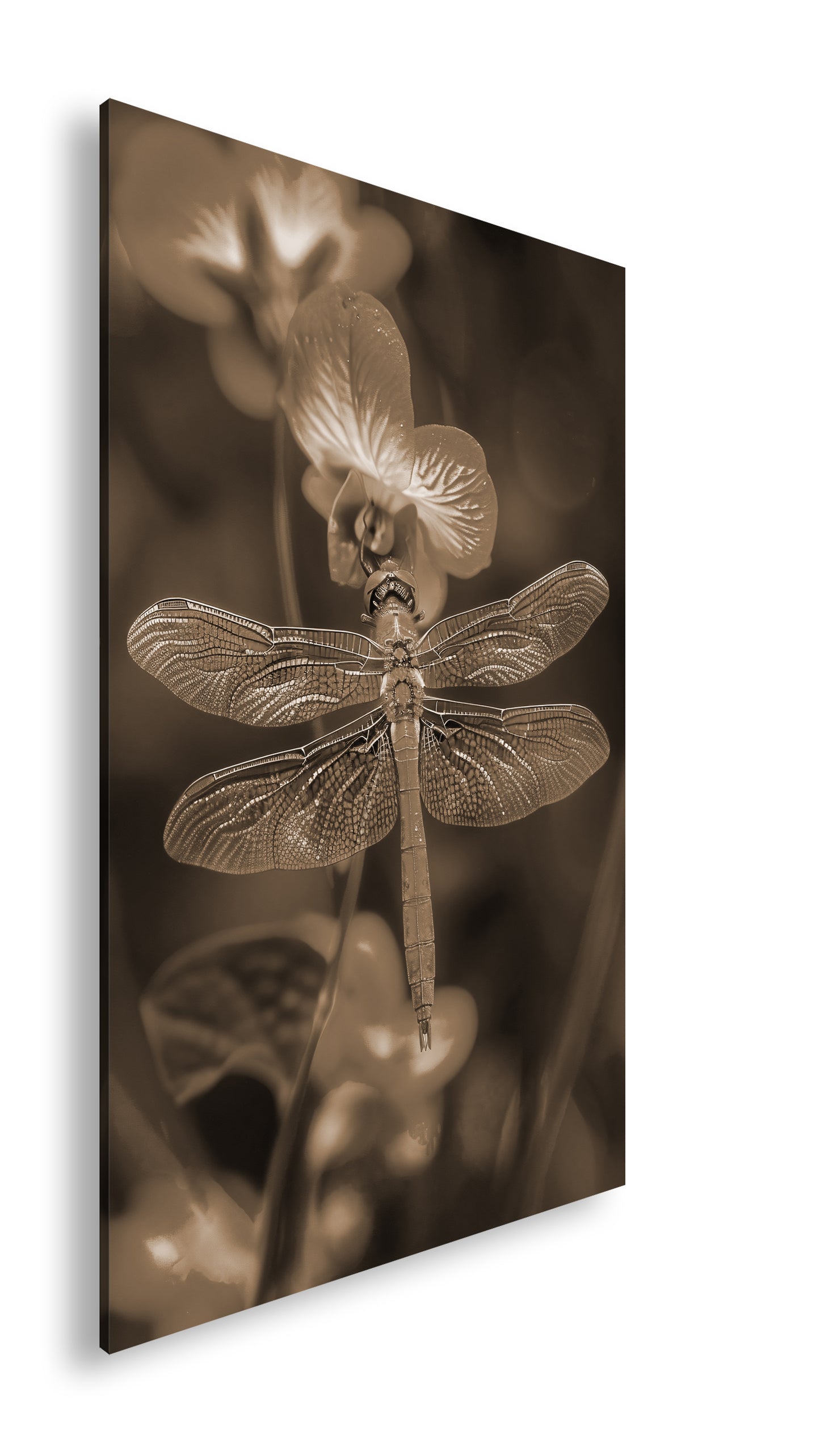 Hauptbild Sepia Standart