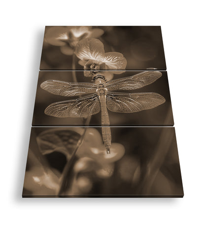 Hauptbild Sepia 3 Teilig