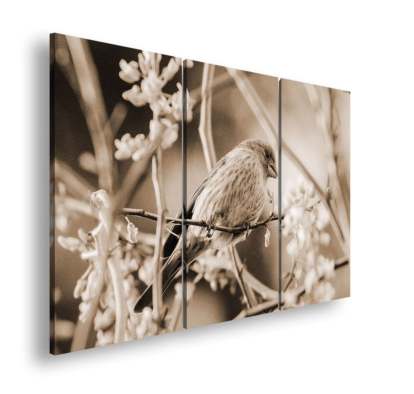 Hauptbild Sepia 3 Teilig