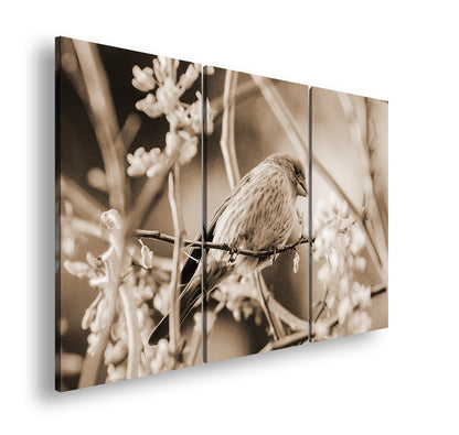 Hauptbild Sepia 3 Teilig