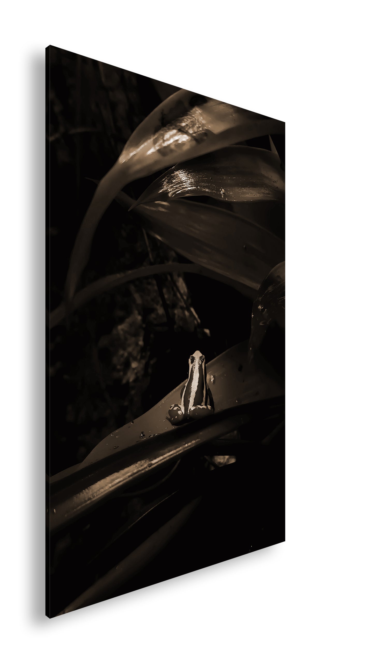 Hauptbild Sepia Standart