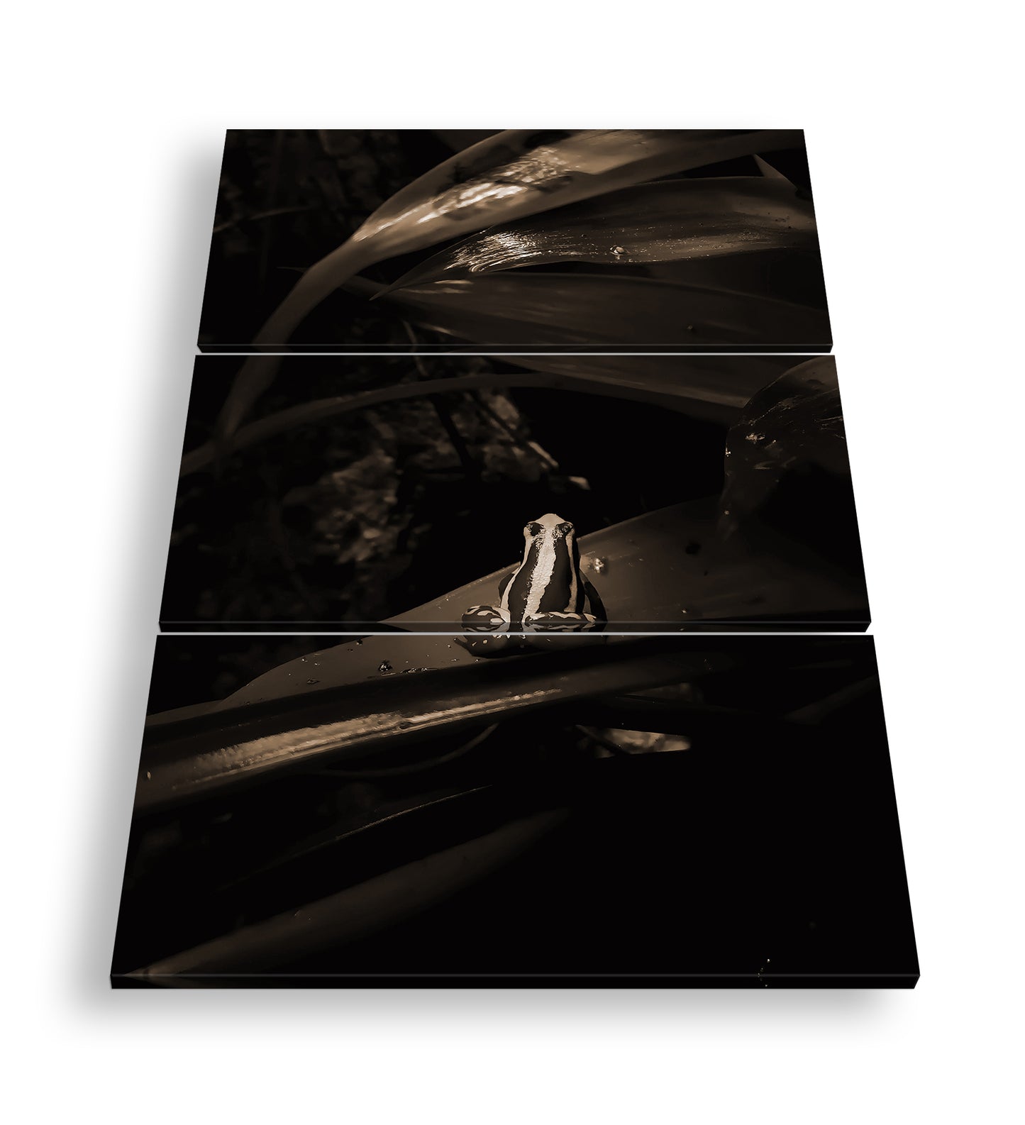 Hauptbild Sepia 3 Teilig