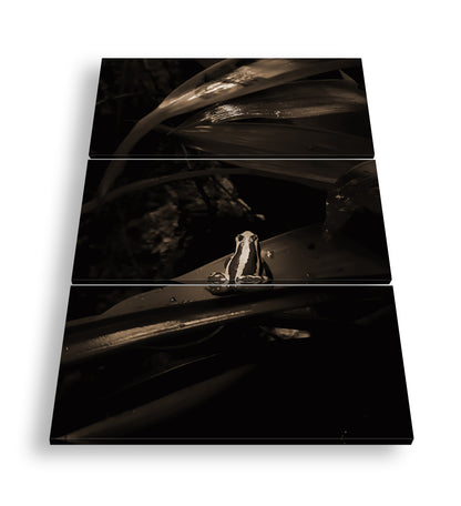 Hauptbild Sepia 3 Teilig