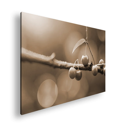 Hauptbild Sepia Standart