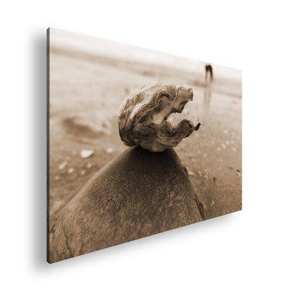 Hauptbild Sepia Standart