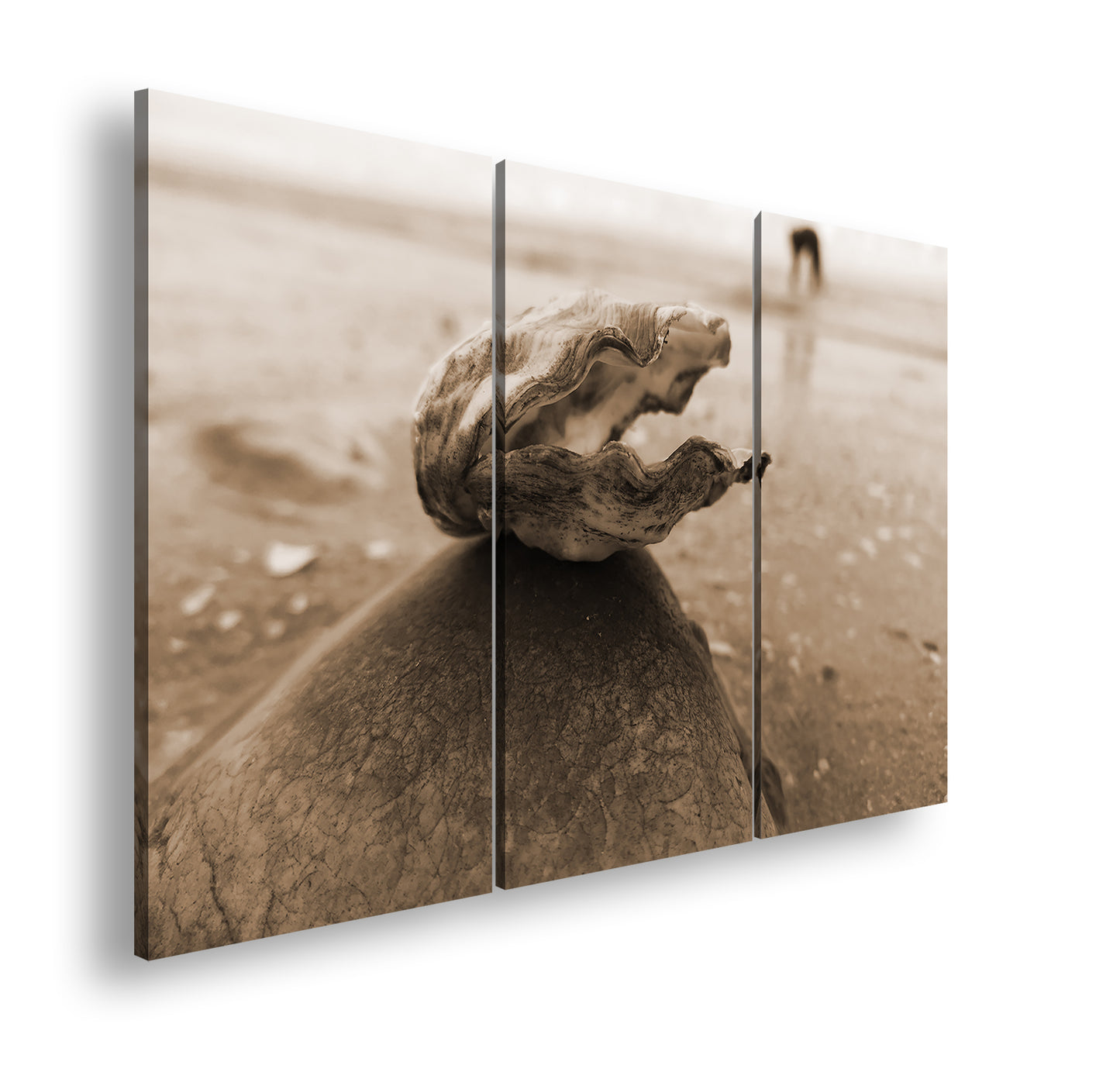 Hauptbild Sepia 3 Teilig