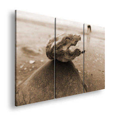 Hauptbild Sepia 3 Teilig