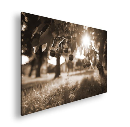 Hauptbild Sepia Standart