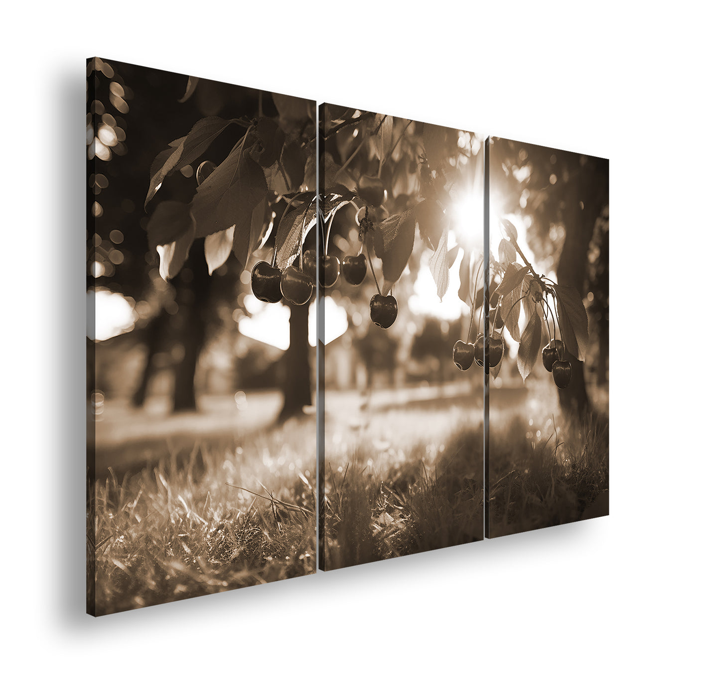 Hauptbild Sepia 3 Teilig