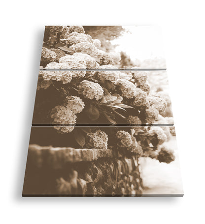 Hauptbild Sepia 3 Teilig