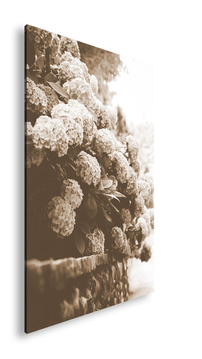 Hauptbild Sepia Standart