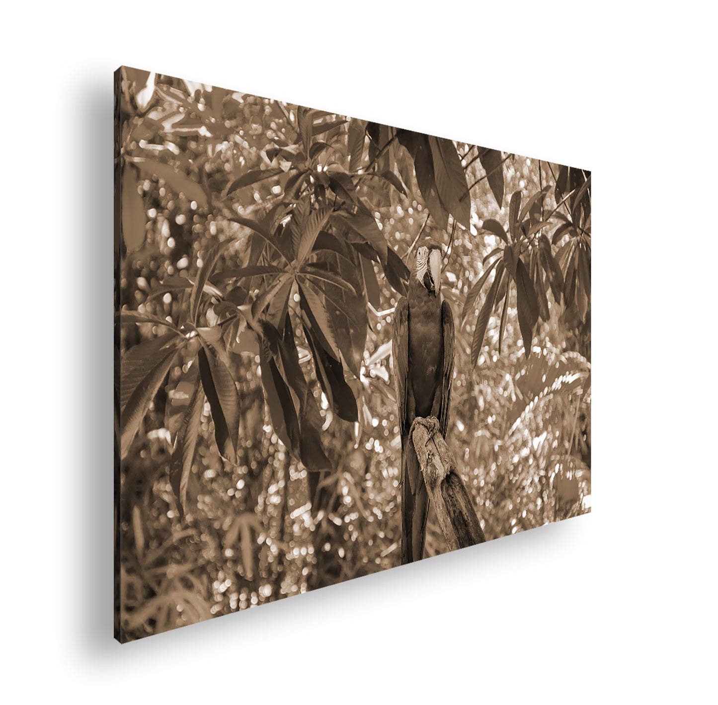 Hauptbild Sepia Standart