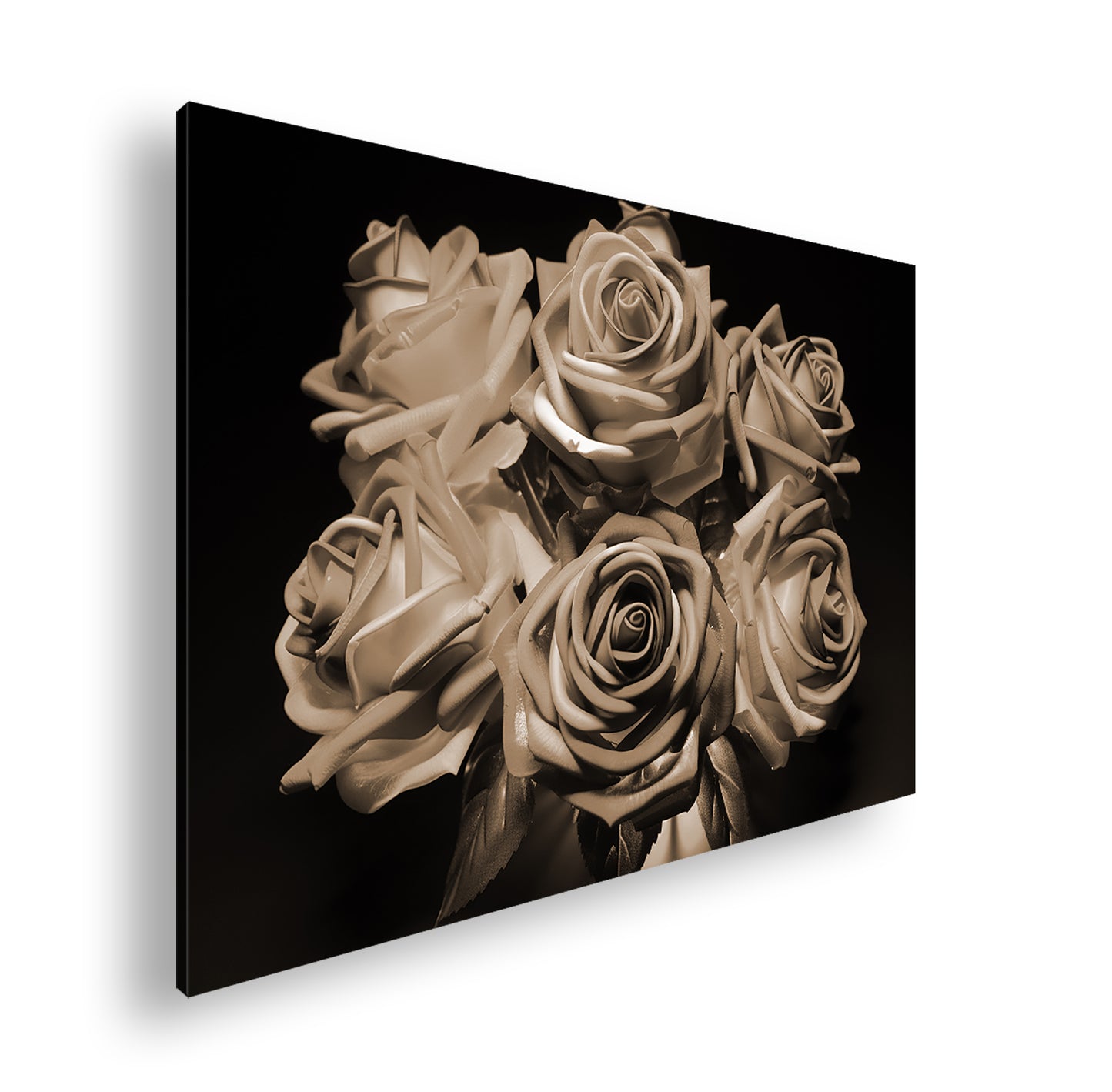 Hauptbild Sepia Standart