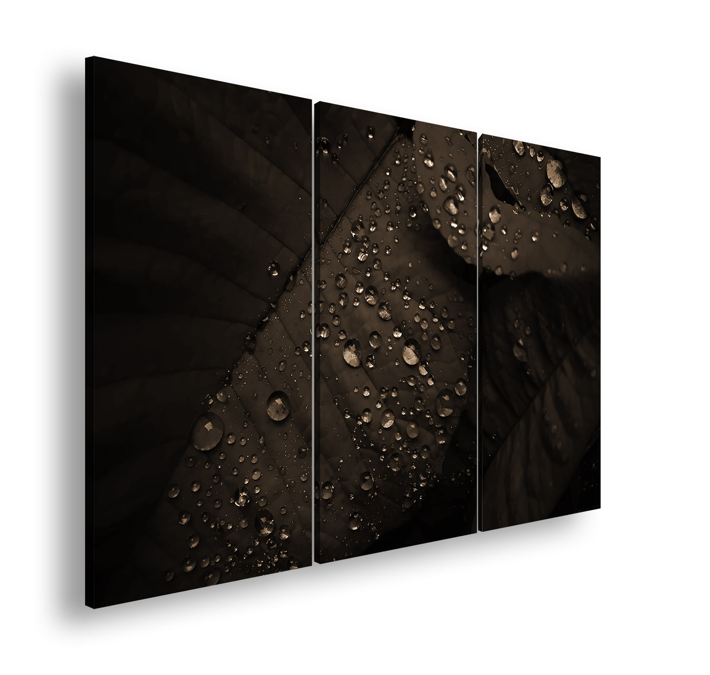 Hauptbild Sepia 3 Teilig