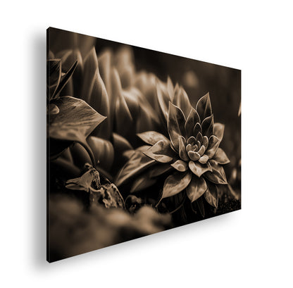 Hauptbild Sepia Standart