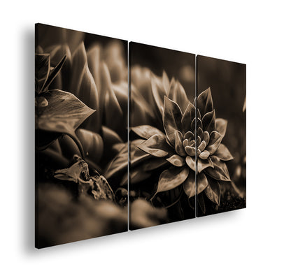 Hauptbild Sepia 3 Teilig