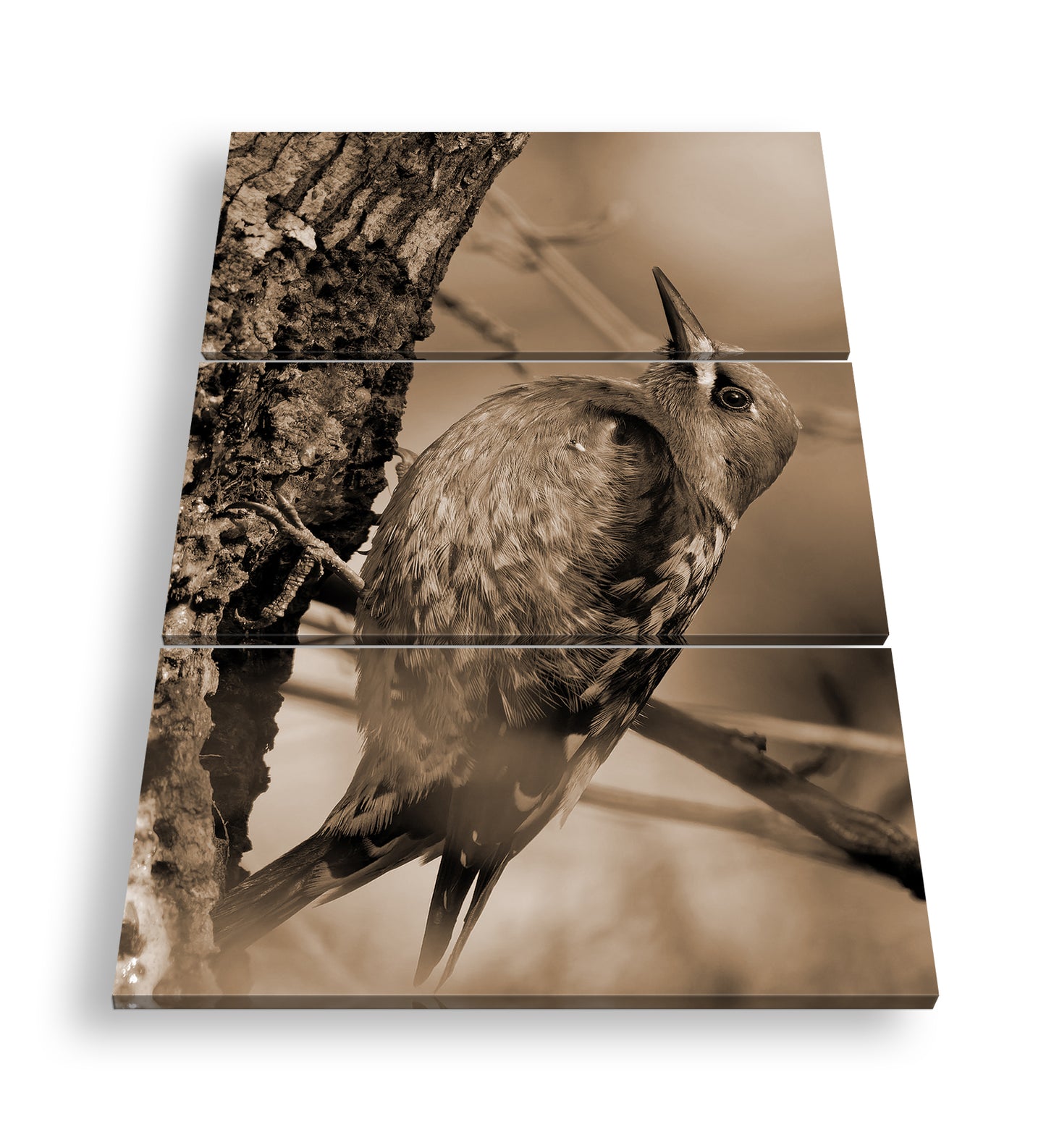 Hauptbild Sepia 3 Teilig