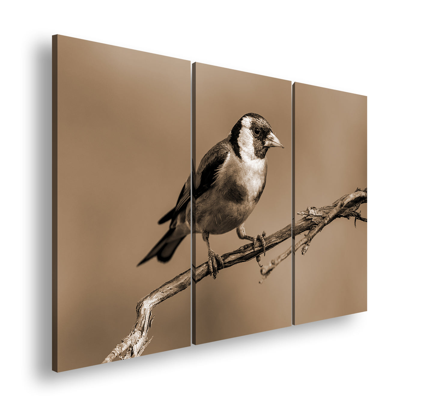 Hauptbild Sepia 3 Teilig