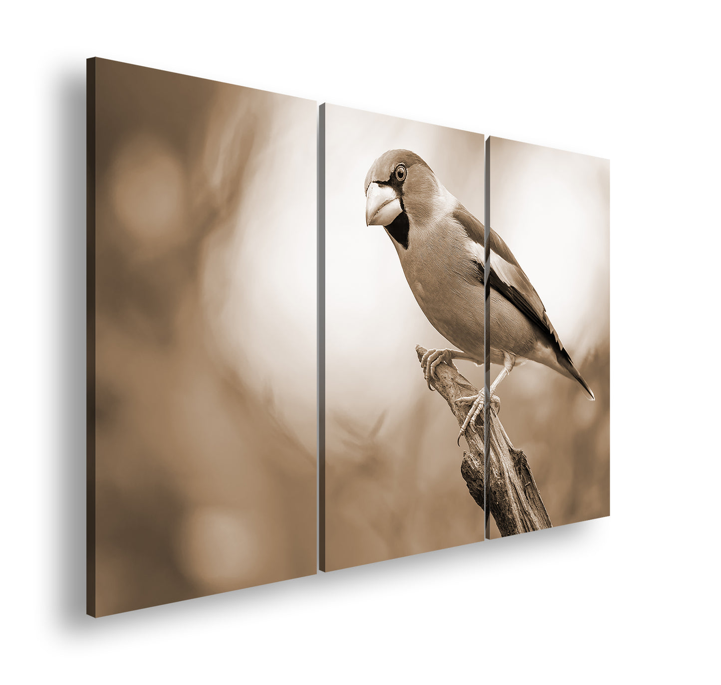 Hauptbild Sepia 3 Teilig